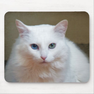 Crystal Mouse Pad