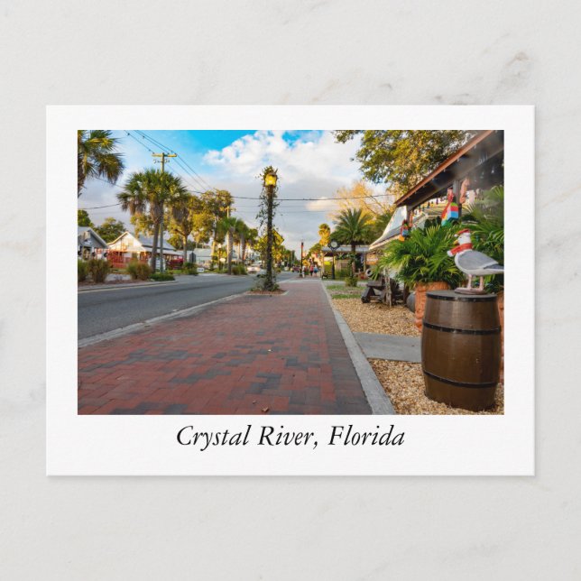 Crystal River Florida Postcard (Front)