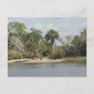 Crystal River Florida Postcard