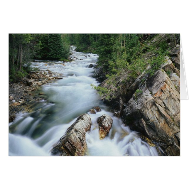 Crystal River, Gunnison National Forest, (Front Horizontal)