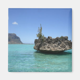 Crystal rock composed of coral magnet