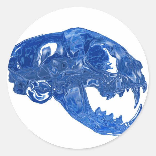 Crystal Water Cat Skull Classic Round Sticker (Front)