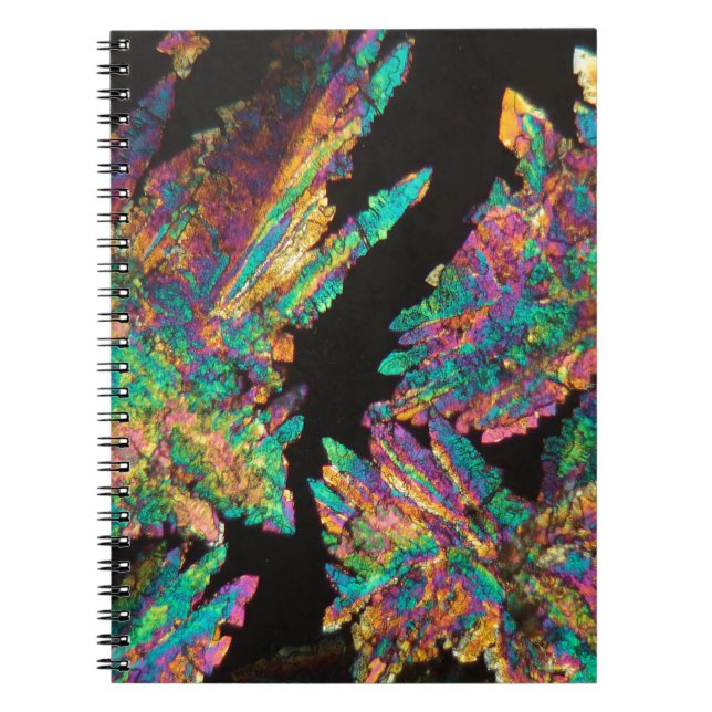 Crystals of Diclofenac under the microscope. Notebook (Front)