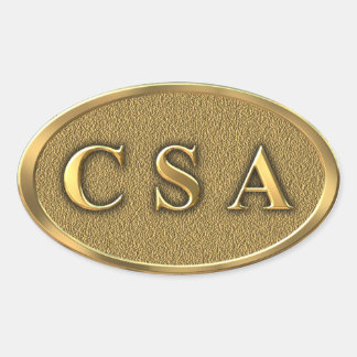 CSA Civil War Sticker