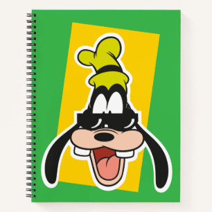 CSEU499012.ai Notebook