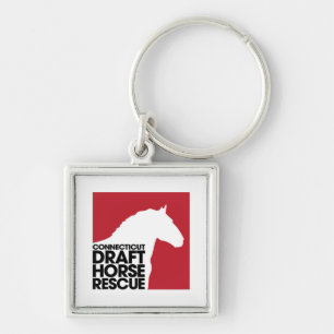 CT Draught   Horse Rescue button keychain