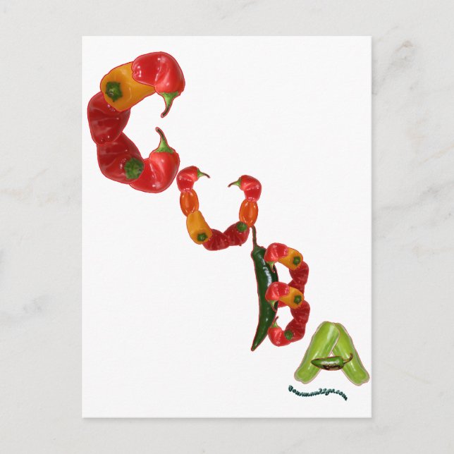 Cuba Chili Peppers Postcard (Front)