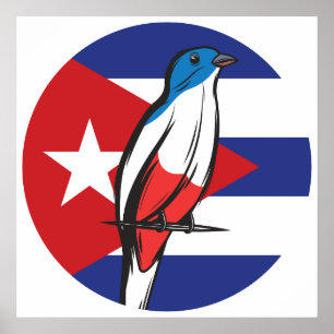 Cuba Cuban trogon Tocororo Cuban National Animal Poster