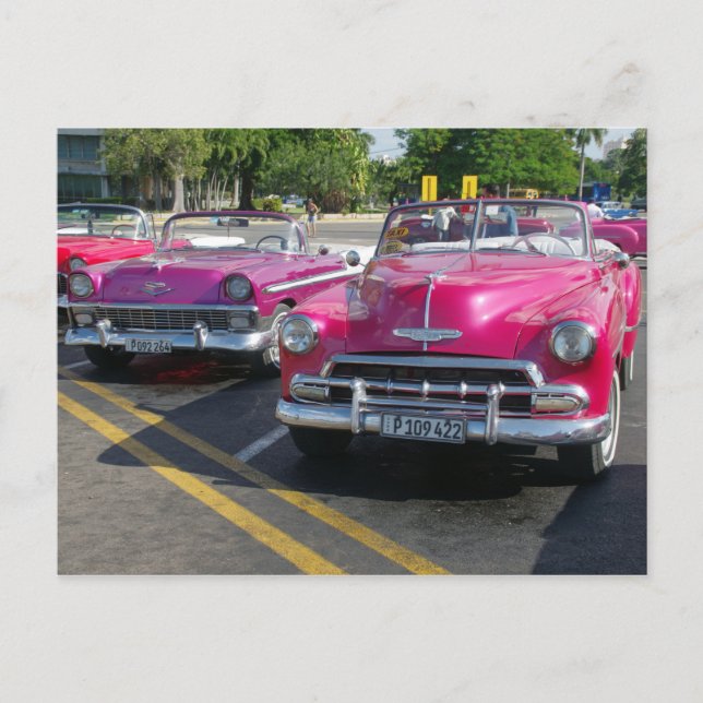 Cuba Voitures Classiques Voitures Roses Carte Post (Devant)