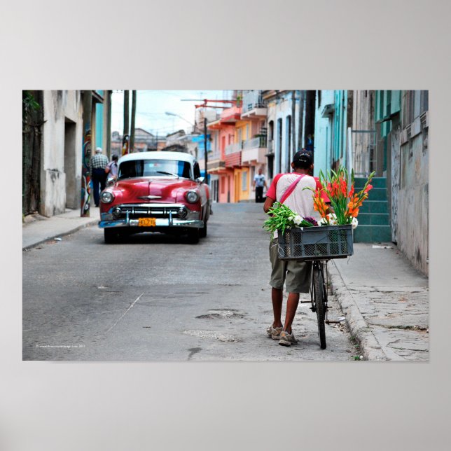 Cuban Florist Poster (Front)