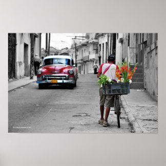Cuban Florist Poster