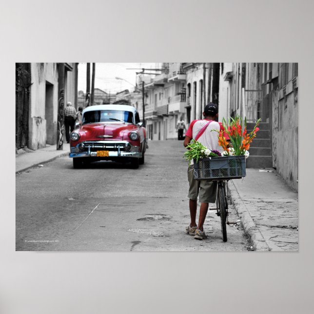 Cuban Florist Poster (Front)