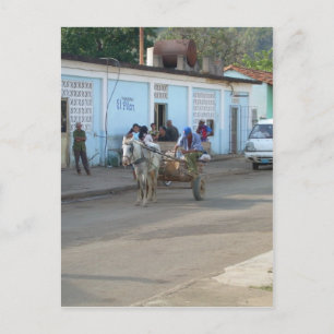 Cuban Street Life Postcard