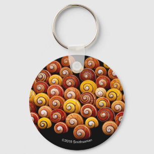 Cuban Tree Snails Keychain