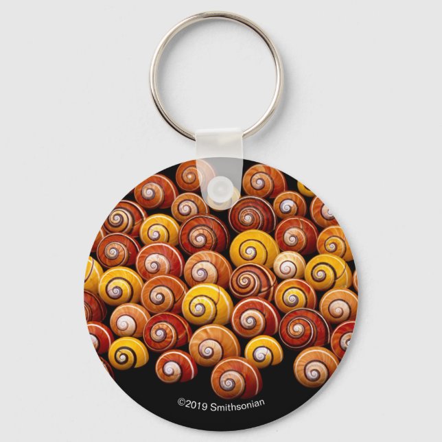 Cuban Tree Snails Keychain (Front)