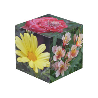 Cube en photo de fleur