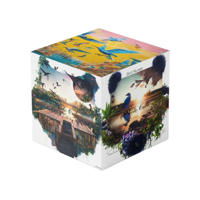 Cube Photo (Angle devant)