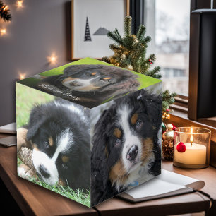 CUBE PHOTO 