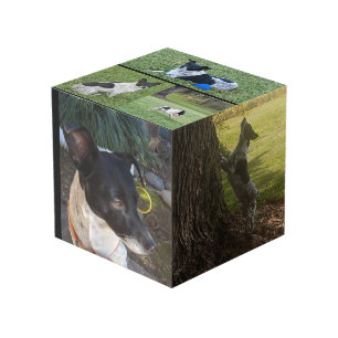 CUBE PHOTO 