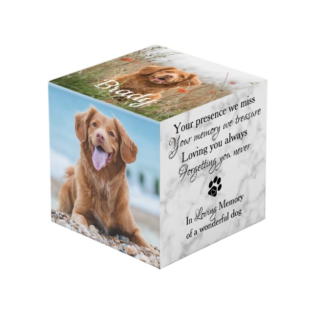 Cube Photo Dans Loss Mémoire Pet Perdre Cadeau Pet Photo Memo (Angle devant)