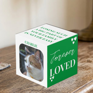 Cube Photo Mémento de sympathie pour chat photo verte