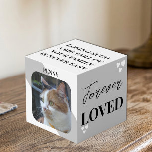 Cube Photo Mémorial de compagnie Sympathie Chat photo grise