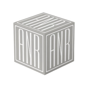 Cube Photo Monogramme initial   Blanc sur gris clair