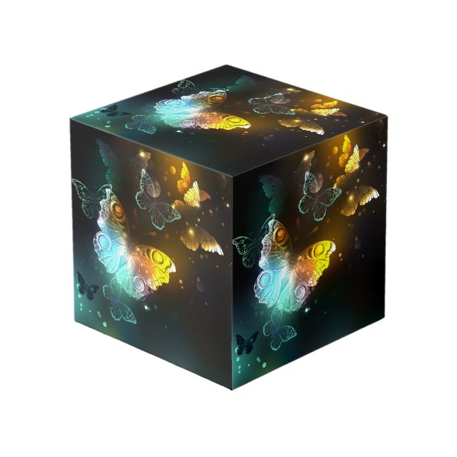 Cube Photo Papillon lumineux et papillons de nuit (Angle devant)