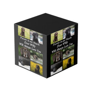 Cube Photo Personnalisation moderne Pet Memorial 6 Photo Coll