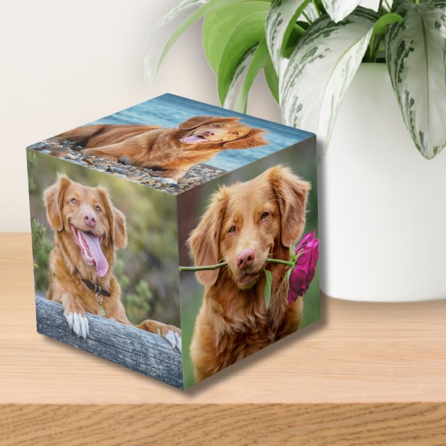 Cube Photo Photo Chien Chien Chien Chien Chien Chien Chien Ch (Pet Keepsake Puppy Dog Photo cube)