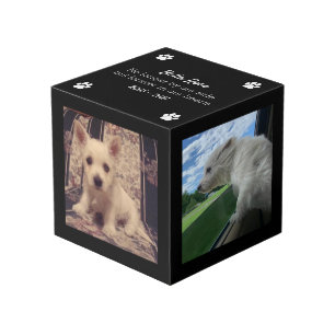 Cube Photo Photo Dog Memorial Keepsaké
