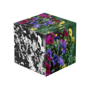 Cube Photo roses pour la vie