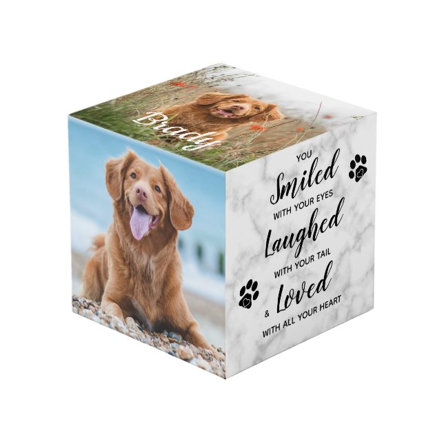 Cube Photo Souriez Rire Amour Souvenir Animal de compagnie Ph (Angle devant)