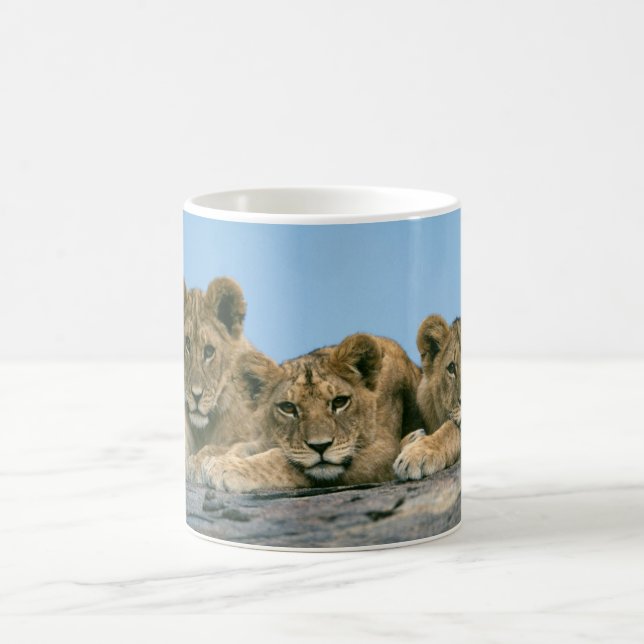 Cubes de café en céramique Mug Lion (Centre)
