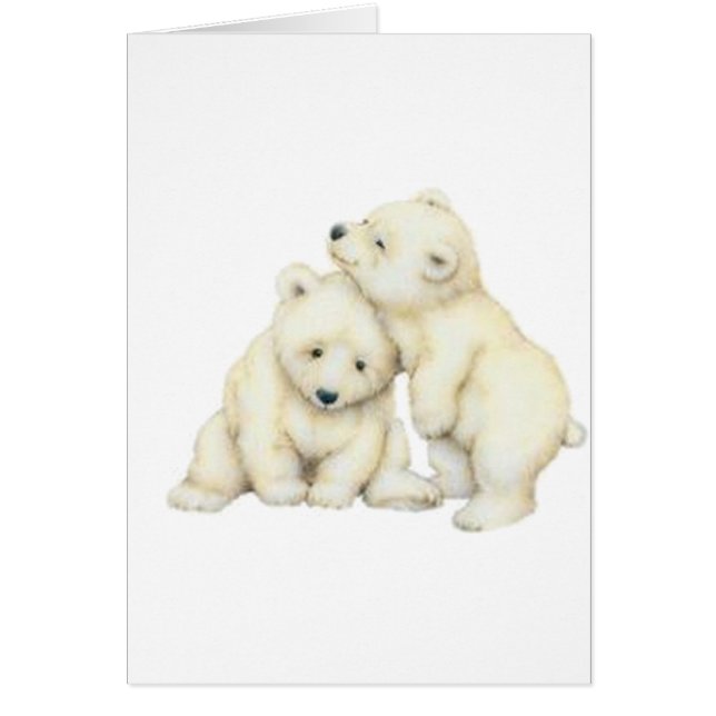 Cubes d'ours polaires (Devant)