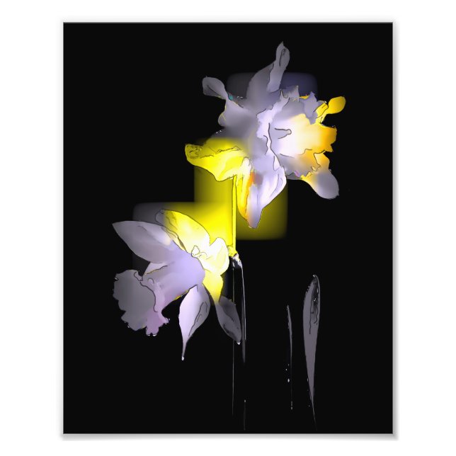 Cubist Daffodils Photo Print (Front)