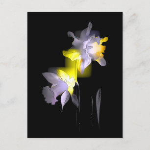 Cubist Daffodils Postcard