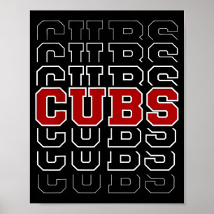 Cubs Vintage Design Men Women Kids Poster