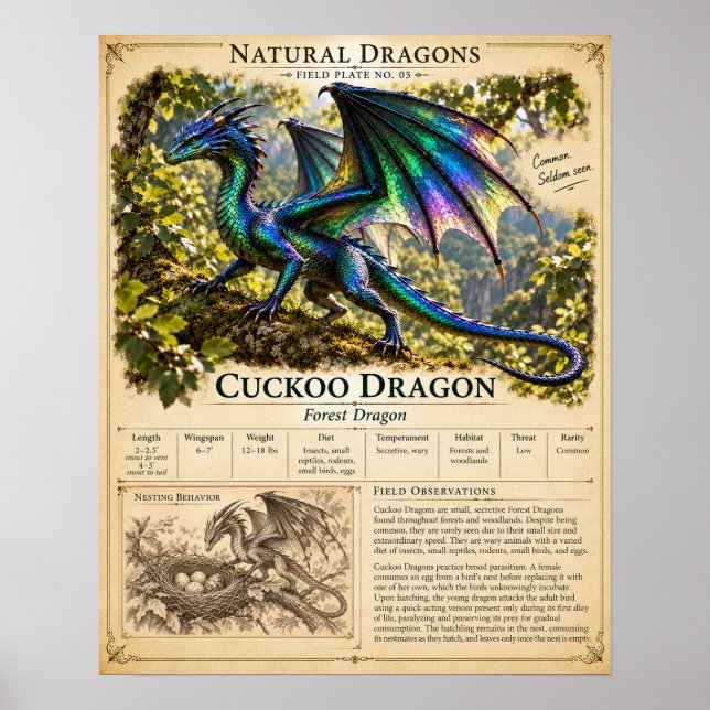 Cuckoo Field Plate Poster (Front)