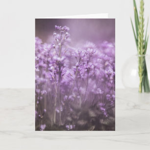 Cuckoo Flower Nature Photo Card
