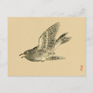 Cuckoo (Japanese Art) (by Kono Bairei) Postcard