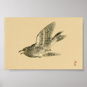 Cuckoo (Japanese Art) (by Kono Bairei) Poster