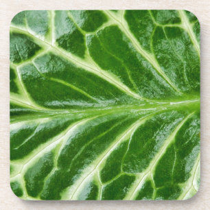 Cuckoo Pint Plant Coaster