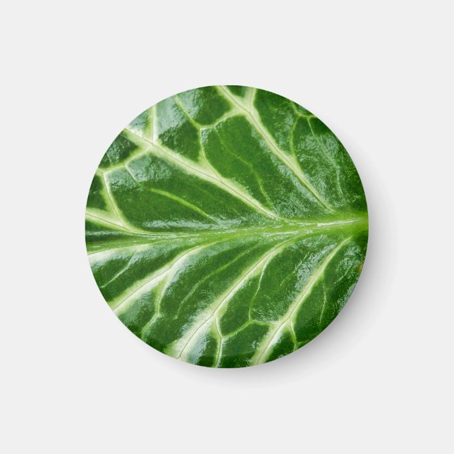 Cuckoo Pint Plant Magnet (Front)