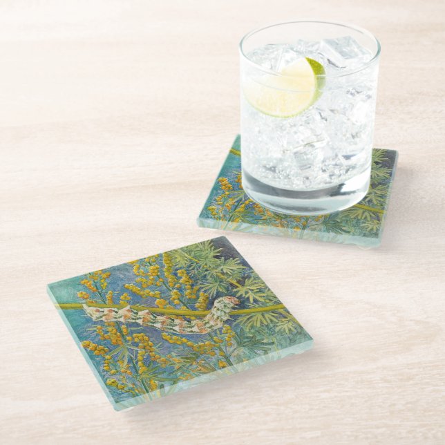 Cucullia Absinthii Wormwood Caterpillar  Glass Coaster (Angled)