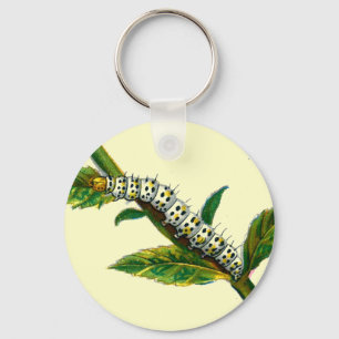 Cucullia verbasci caterpillar keychain