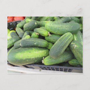 Cucumber Bundle Postcard