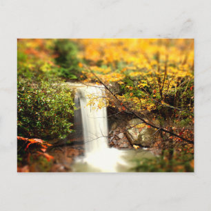 Cucumber Falls Fall Colours Postcard
