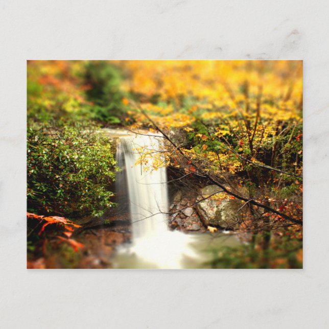 Cucumber Falls Fall Colours Postcard (Front)