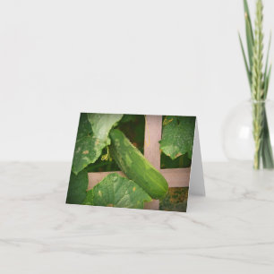 Cucumber Notecard